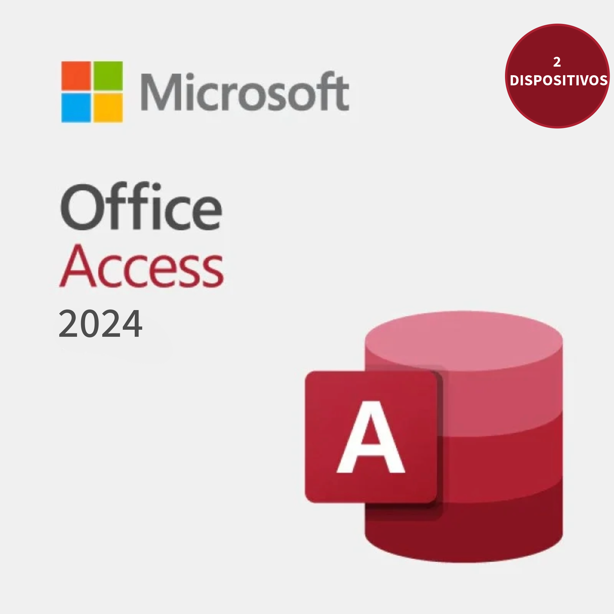 Microsoft Office Access 2024
