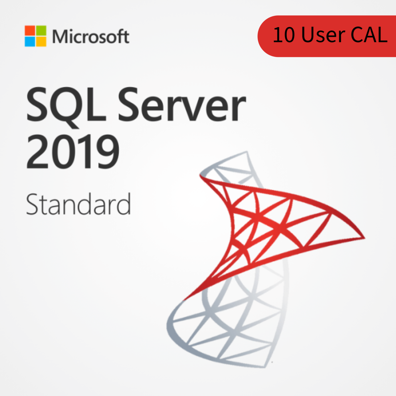 Microsoft SQL Server 2019 Standard – 10 User CAL