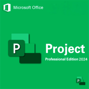 Microsoft Project Professional 2024