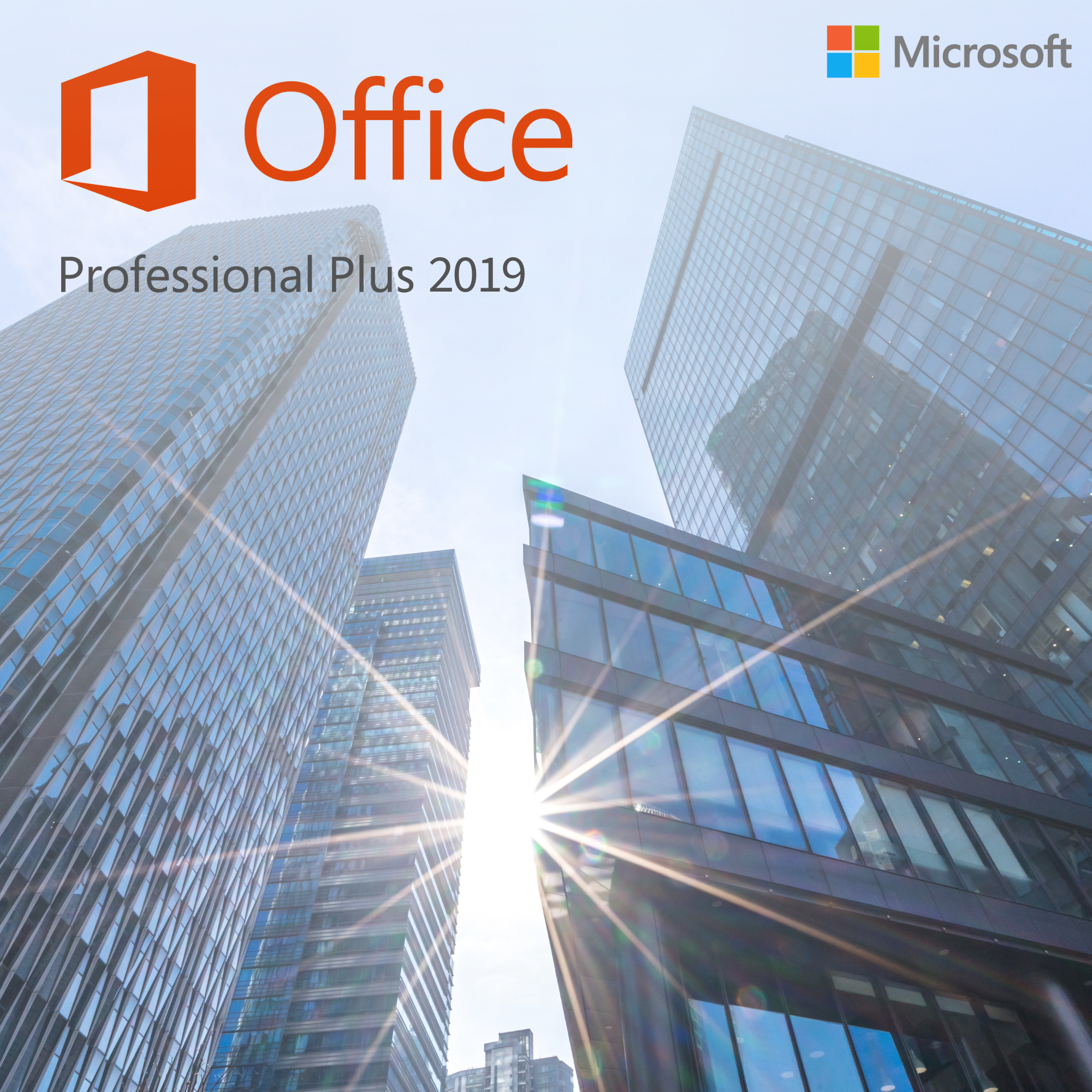Office Professional Plus 2019 - Reinstalable