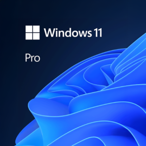 Windows 11 Pro